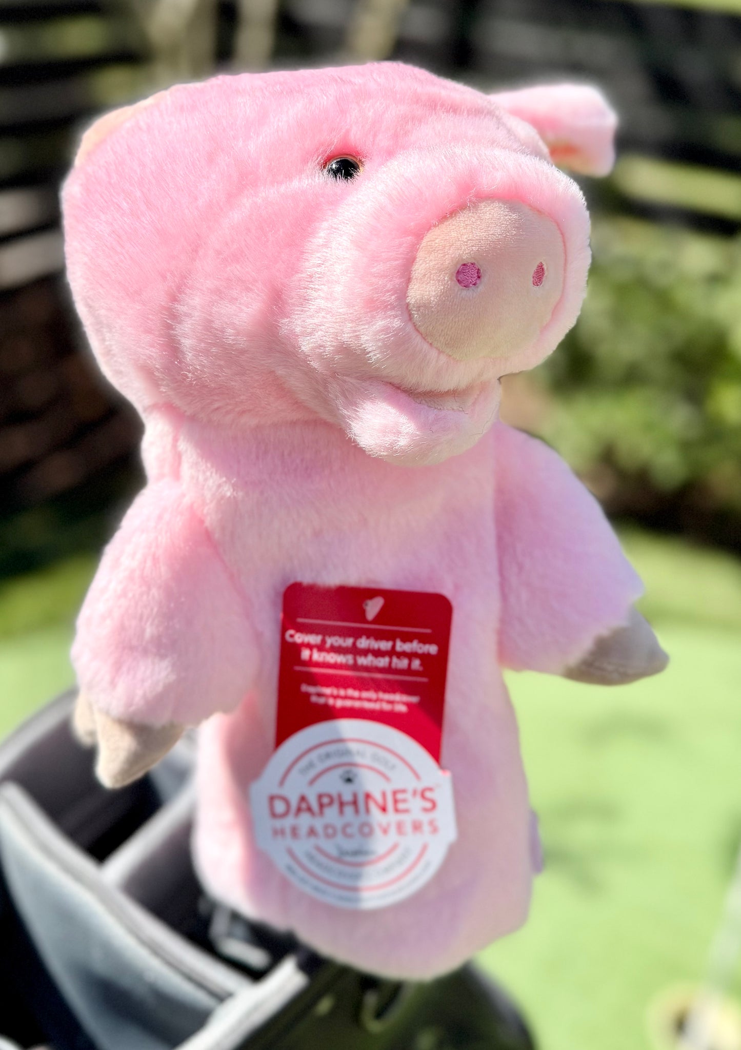 Pig Headcover